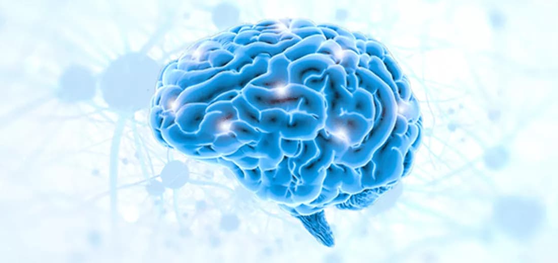 Neurology