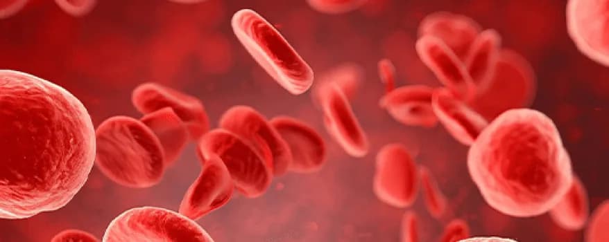 Blood cancer
