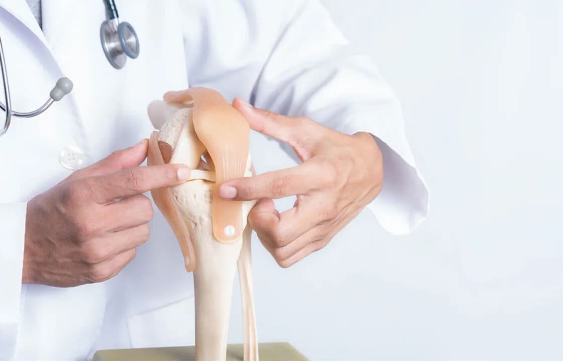 Orthopaedics