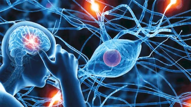 Understanding Nervous System Disorders: Types, Causes, and When to Seek Expert Care