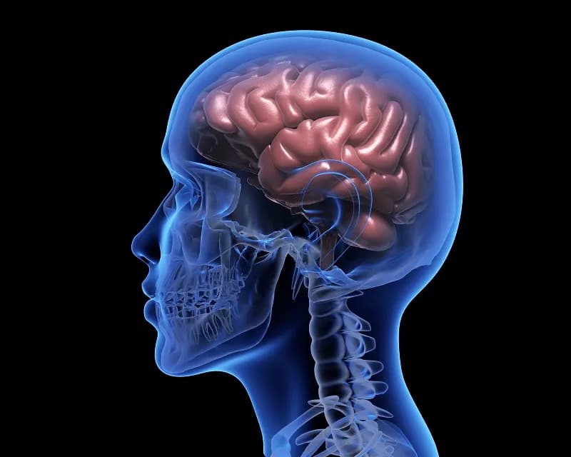 Early Signs of Stroke: What Your Body Is Trying to Tell You