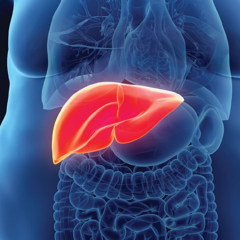 Fatty Liver Treatment in Jaipur: What You Need to Know